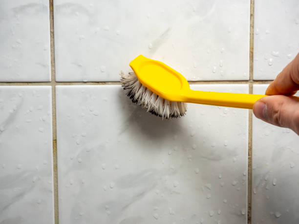 Best DIY Mold Remediation Support Services in Wakeman, OH