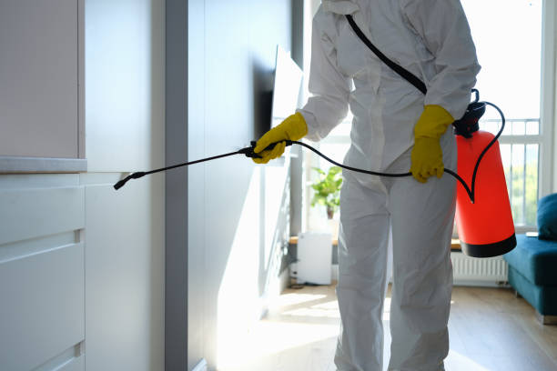 Best Industrial Mold Remediation in Wakeman, OH